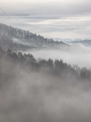 Nebellandschaft vom Irchel