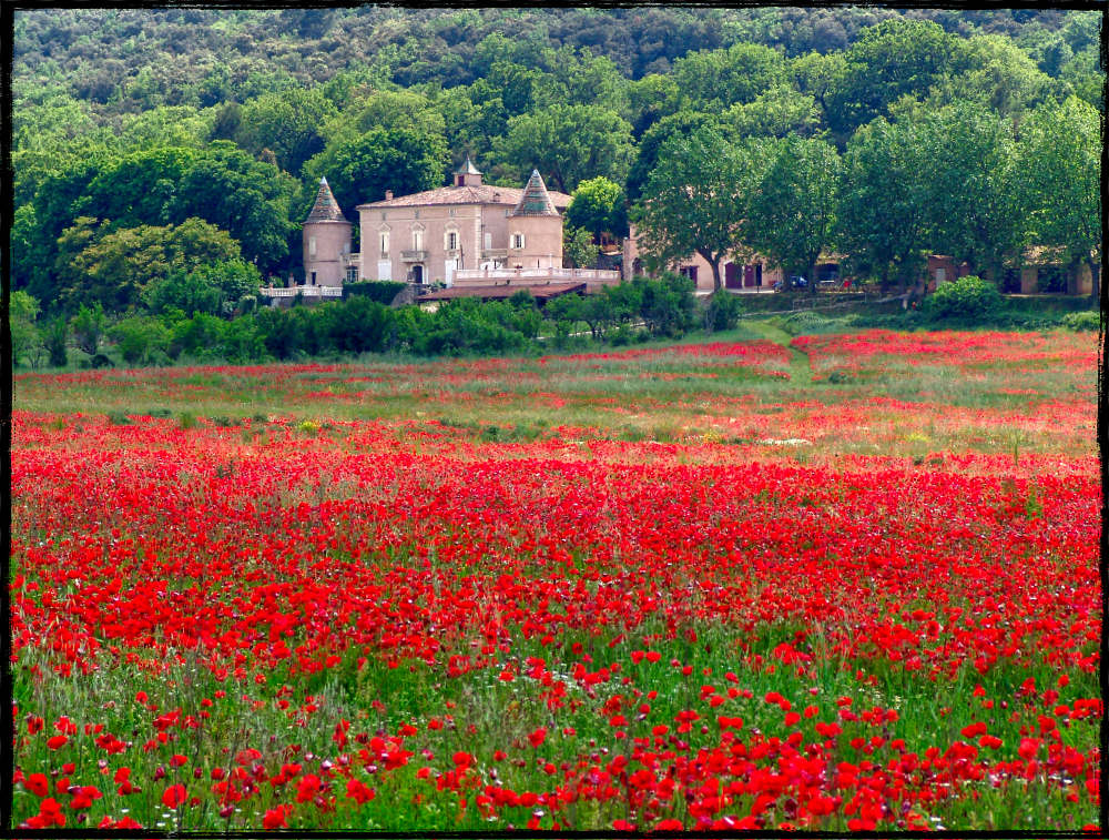 DSC01781 Hotel Mont Ventoux